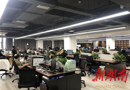 衡阳崛起数字经济新高地 物联网应用服务驱动城市转型